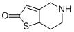 5,6,7,7a-Tetrahydrothieno[3,2-c]pyridin-2(4H)-one CAS#: 109904-37-2
