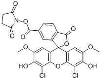 6-CARBOXY-4',5'-DICHLORO-2',7'-DIMETHOXYFLUORESCEIN, SUCCINIMIDYL ESTER CAS#: 113394-23-3