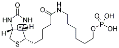 6-N-BIOTINYLAMINOHEXYL HYDROGENPHOSPHONATE CAS#: 224583-35-1