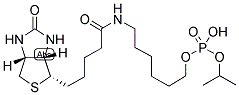 6-N-BIOTINYLAMINOHEXYL ISOPROPYL HYDROGENPHOSPHONATE CAS#: 224583-37-3