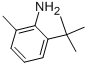 6-TERT-BUTYL-O-TOLUIDINE CAS#: 13117-94-7
