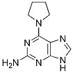 6-(pyrrolidin-1-yl)-9H-purin-2-aMine CAS#: 18202-53-4