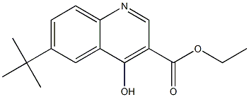 6-tert-Butyl-4-hydroxy-quinoline-3-carboxylic acid ethyl ester CAS#: 228728-32-3