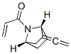7-Azabicyclo[2.2.1]heptane,2-ethenylidene-7-(1-oxo-2-propenyl)-,(1R,4S)-(9CI) CAS#: 254964-21-1