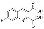 7-FLUOROQUINOLINE-2,3-DICARBOXYLIC ACID CAS#: 110139-62-3