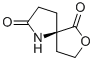 7-Oxa-1-azaspiro[4.4]nonane-2,6-dione,(5R)-(9CI) CAS#: 219503-87-4