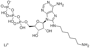 8-(6-AMINOHEXYL)AMINOADENOSINE5'-TRIPHOS PHATE LITH CAS#: 102029-46-9