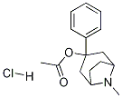 8-Azabicyclo[3.2.1]octan-3-ol, 8-Methyl-3-phenyl-, acetate (ester), hydrochloride, endo- CAS#: 102433-04-5