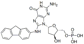 8-(N-fluoren-2-ylamino)-2'-deoxyguanosine 5'-monophosphate CAS#: 17660-46-7