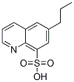 8-Quinolinesulfonic acid, 6-propyl- CAS#: 105105-03-1