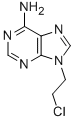 9-(2-Chloro-ethyl)-9H-purin-6-ylamine CAS#: 19255-48-2