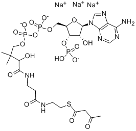 ACETOACETYL COENZYME A SODIUM SALT CAS#: 102029-52-7