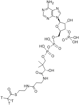 ACETYL COENZYME A, [ACETYL-3H] CAS#: 110073-15-9