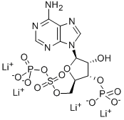 ADENOSINE 3'-PHOSPHATE 5'-PHOSPHOSULFATE, TETRALITHIUM SALT CAS#: 102029-54-9