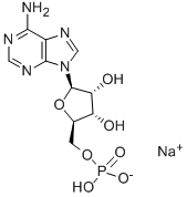 ADENOSINE5'-MONOPHOSPHATESODIUMSALT CAS#: 13474-03-8