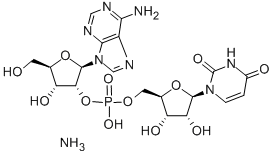 ADENYLYL(2'>5')URIDINE AMMONIUM CAS#: 102029-66-3