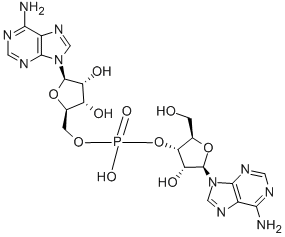 ADENYLYL(3'-5')ADENOSINE CAS#: 102029-96-9