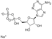 APS SODIUM SALT CAS#: 102029-95-8