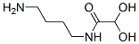 Acetamide, N-(4-aminobutyl)-2,2-dihydroxy- (9CI) CAS#: 111880-62-7