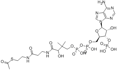 Acetyl coenzyme A sodium salt CAS#: 102029-73-2