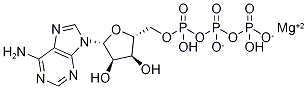 Adenosine 5'-(tetrahydrogen triphosphate) magnesium salt CAS#: 1476-84-2