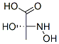 Alanine, N,2-dihydroxy- (9CI) CAS#: 274263-68-2