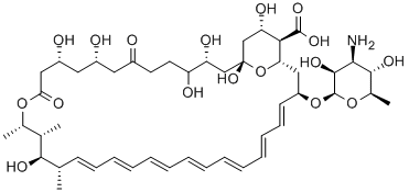 Amphotericin B, 8,9-dideoxy-10-hydroxy-7-oxo- CAS#: 1405-90-9