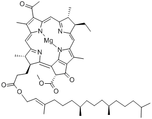 BACTERIOCHLOROPHYLL CAS#: 17499-98-8