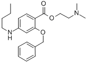 BENZOIC ACID, 2-(BENZYLOXY)-4-BUTYLAMINO-, 2-(DIMETHYLAMINO)ETHYL ESTE R CAS#: 100311-18-0