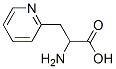 BETA-(2-PYRIDYL)-DL-ALANINE CAS#: 17407-44-2