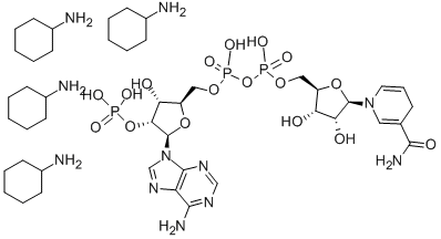 BETA-NADPH TETRA(CYCLOHEXYLAMMONIUM) SALT CAS#: 100929-71-3
