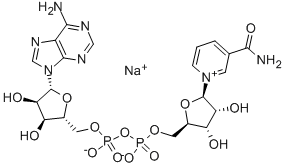 BETA-NICOTINAMIDE ADENINE DINUCLEOTIDE SODIUM SALT CAS#: 20111-18-6