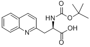 BOC-BETA-(2-QUINOLYL)-D-ALA-OH CAS#: 170157-64-9