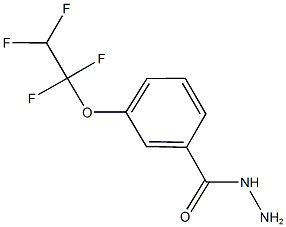 Benzhydrazide, 3-(1,1,2,2-tetrafluoroethoxy)- CAS#: 114467-21-9