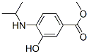 Benzoic acid, 3-hydroxy-4-[(1-methylethyl)amino]-, methyl ester (9CI) CAS#: 220844-94-0