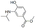 Benzoic acid, 4-hydroxy-3-[(1-methylethyl)amino]-, methyl ester (9CI) CAS#: 201848-58-0