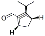 Bicyclo[2.2.1]hept-5-ene-2-carboxaldehyde, 3-(1-methylethyl)-, (1R,2S,3S,4S)- (9CI) CAS#: 271578-34-8