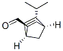Bicyclo[2.2.1]hept-5-ene-2-carboxaldehyde, 3-(1-methylethyl)-, (1S,2R,3R,4R)- (9CI) CAS#: 271578-36-0