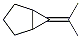 Bicyclo[3.1.0]hexane, 6-isopropylidene- CAS#: 24524-58-1