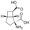 Bicyclo[3.2.0]heptane-2,7-dicarboxylic acid, 2-amino-, (1R,2S,5R,7R)- (9CI) CAS#: 207804-38-4