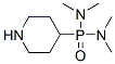Bis(dimethylamino)4-piperidylphosphine oxide CAS#: 18722-71-9