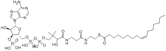 (C16:1) COENZYME A CAS#: 18198-76-0