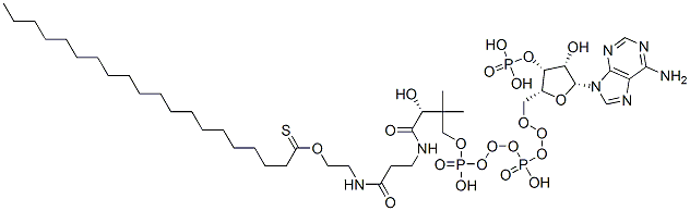 (C20:0) COENZYME A CAS#: 15895-27-9