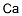 CALCIUM CAS#: 14452-75-6