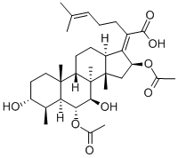 CEPHALOSPORINP1 CAS#: 28393-42-2