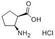 CIS-2-AMINO-1-CYCLOPENTANECARBOXYLIC AC& CAS#: 18414-30-7