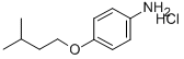 CP-24879 HYDROCHLORIDE CAS#: 10141-51-2