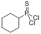 CYCLOHEXYLPHOSPHONOTHIOIC DICHLORIDE CAS#: 1498-63-1