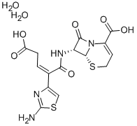 Ceftibuten dihydrate CAS#: 118081-34-8