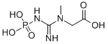 Creatine phosphate CAS#: 67-07-2